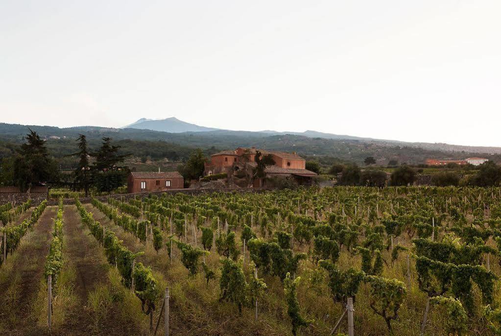 Agriturismo Valle Galfina Linguaglossa Exterior foto